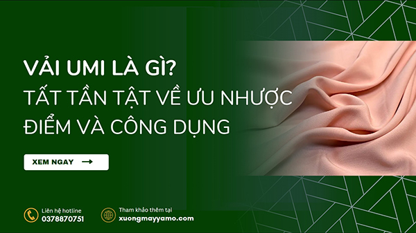 Vải umi là gì